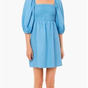 Tuckernuck Blue Puff Sleeve Dress